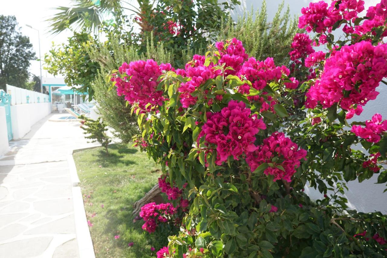 Casa Aria Hotel Gumbet Exterior photo